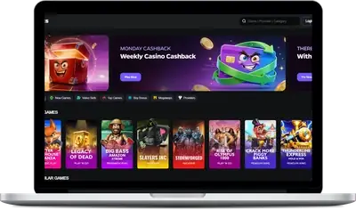 Wildies connexion